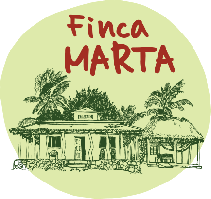 Mercado Finca Marta